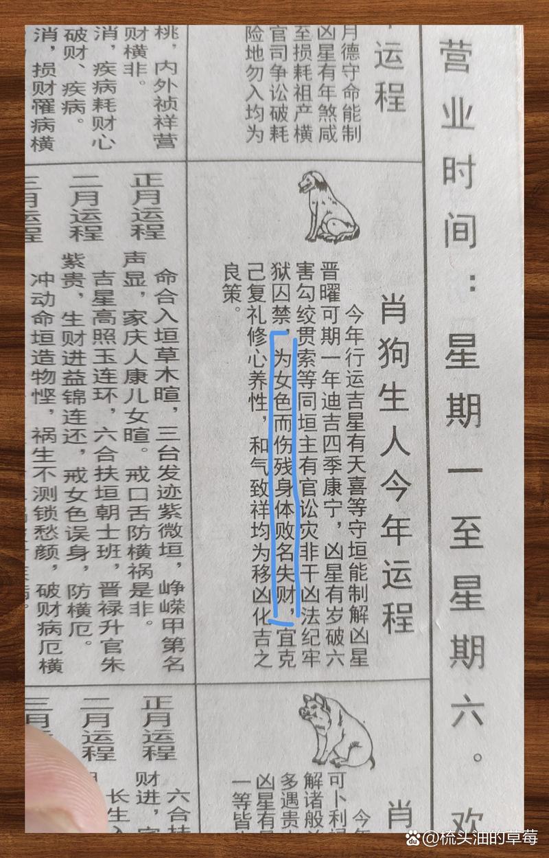 三前五后退三步四走六无来找开门放狗七与八原文解一肖的全面释义、解释与落实、全面解答解释落实