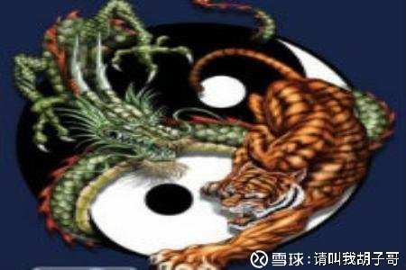 今期生肖送财神，龙虎一齐去出征打一最佳生肖仔细释义、解释与落实、构建解答解释落实