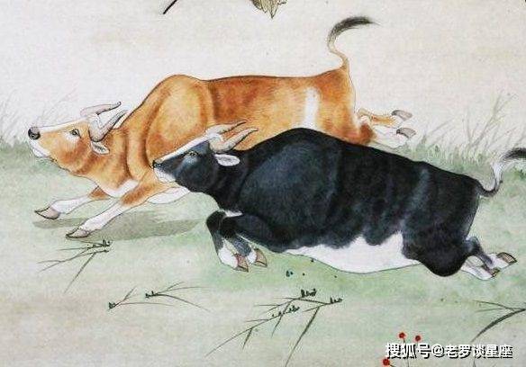 生死有命，毋須防備，何妨好食又懶飛打一生肖，详细解答、深度解答解释落实
